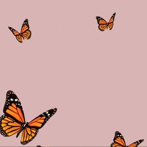 Meet your Posher, Carly